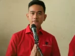 Denny Siregar Menjelaskan Alasan PDIP Tidak Memecat Gibran: Tidak Terjebak