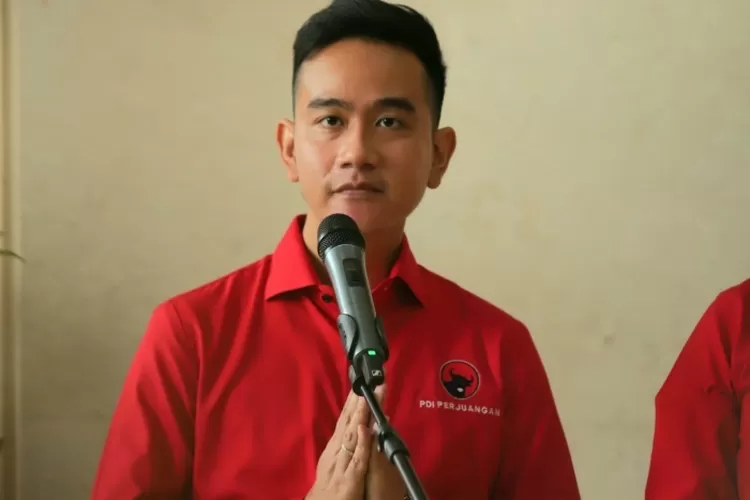 Denny Siregar Menjelaskan Alasan PDIP Tidak Memecat Gibran: Tidak Terjebak