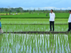 Aktivis Papua Menuntut Proyek Satu Juta Hektar Sawah di Merauke Dihentikan