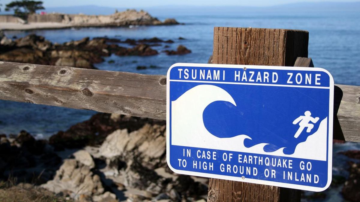ilustrasi-tsunami-warning-ilustrasi-peringatan-tsunami-1753844794003_169.jpeg